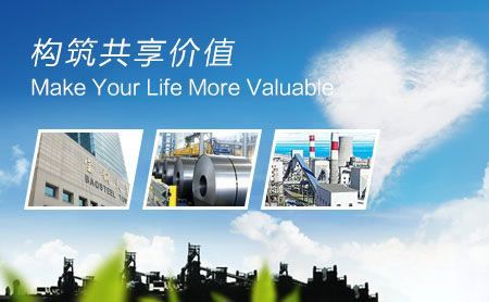宝武钢铁BAOWU 展示图