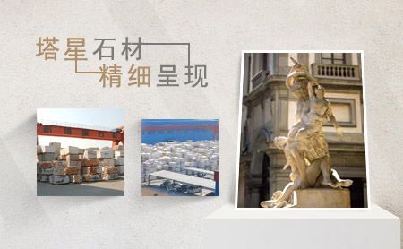 塔星 展示图