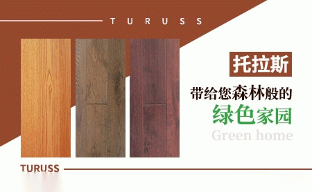 托拉斯TURUSS 展示图