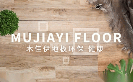 木佳伊 展示图