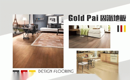 固派GoldPai 展示图