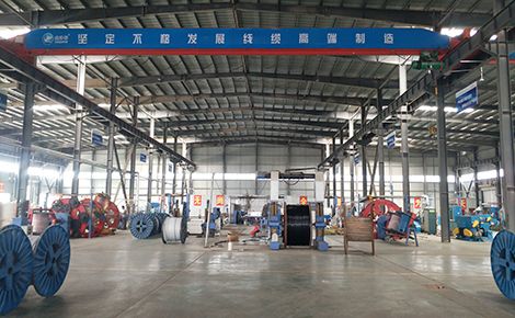 鑫津特 展示图