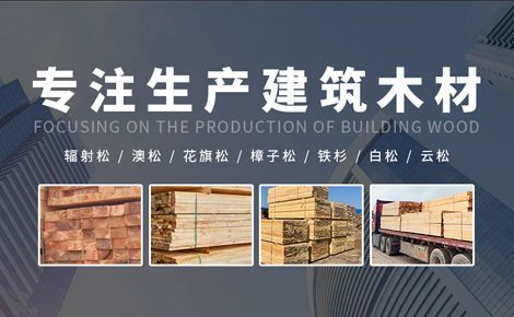 中弘木业 展示图