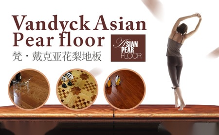 梵戴克地板VANDYCK 展示图