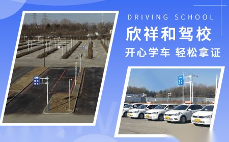 江豚Jiangtun 展示图