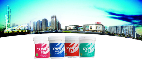 赛柏斯XYPEX 展示图