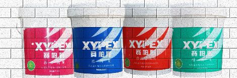 赛柏斯XYPEX 展示图