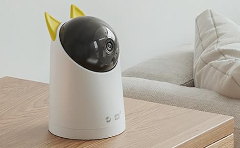 海雀 展示图