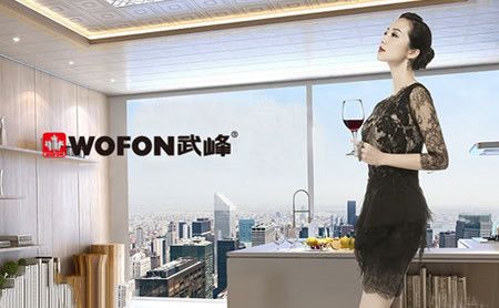 武峰Wofon 展示图