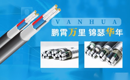 铂帝斯BODIS 展示图