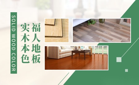 金德Ginde 展示图
