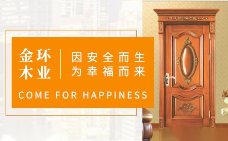 金环 展示图