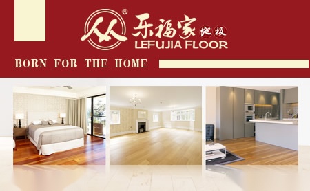 乐福家LEFUJIA 展示图