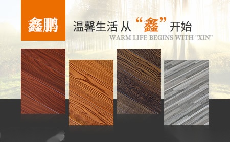 鑫鹏 展示图