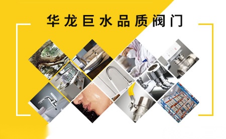 华龙巨水V&G 展示图