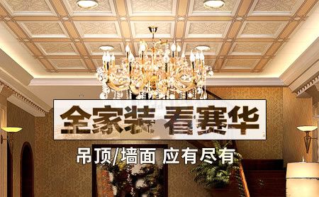 赛华SAIHUA 展示图