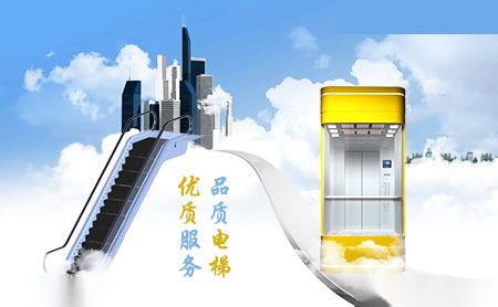 秀强 展示图