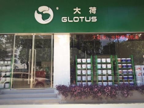 大荷 展示图
