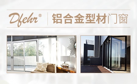 德菲尔Dfehr 展示图
