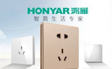 HONYAR鸿雁 展示图