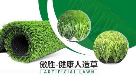 傲胜AVG 展示图