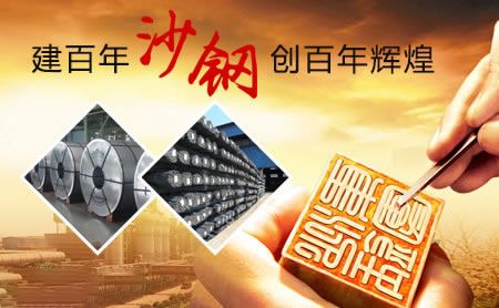 沙钢SHAGANG 展示图