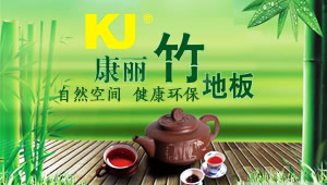 康丽地板 展示图