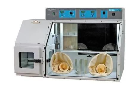 Terra 展示图