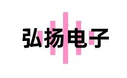 弘扬电子