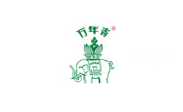 万年青水泥