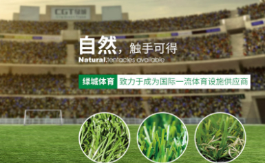 绿城体育CGT 展示图