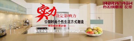 布拉纳橱柜衣柜BRANAGH 展示图