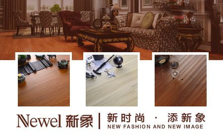 新象家居NEWEL 展示图