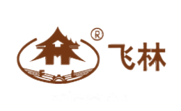 飞林