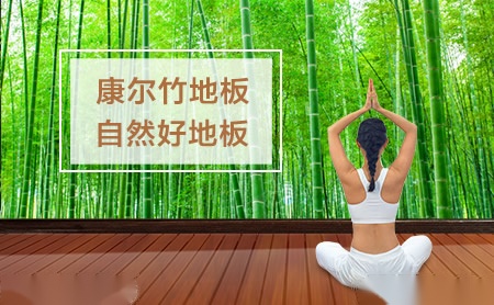 康尔地板 展示图
