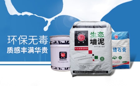 白雪涂料BAIXUE 展示图