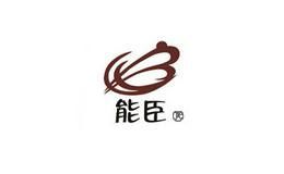 能臣