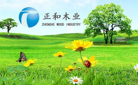 正和林美 展示图
