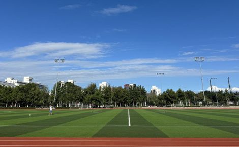 火炬生地 展示图
