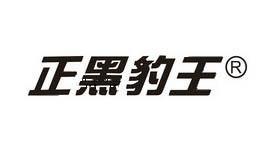 正黑豹王