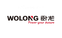 卧龙电气WOLONG