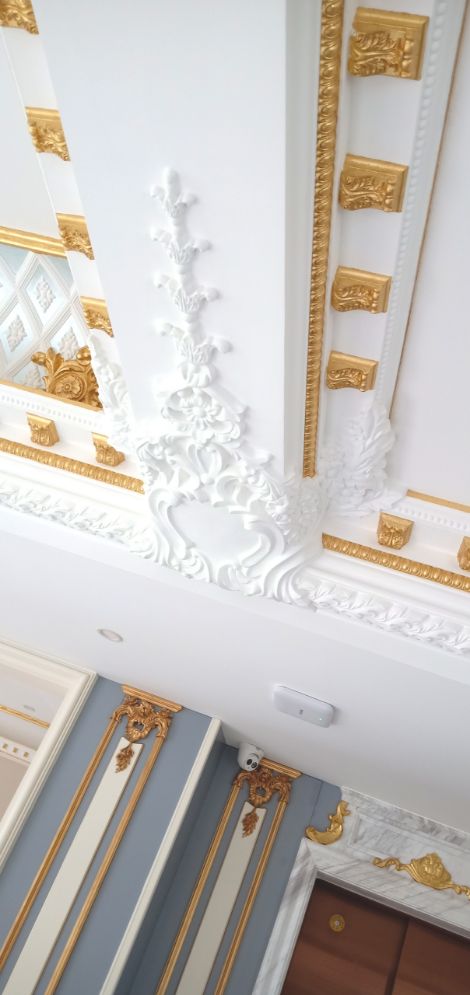 福奇海 展示图