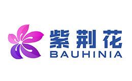 紫荆花Bauhinia