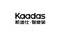 凯迪仕KAADAS