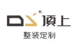 顶上DS