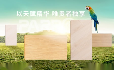 鹦鹉地板PARROT 展示图