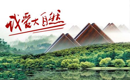 大自然地板 展示图