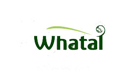 华泰Whata