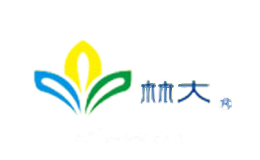 林大美缝剂