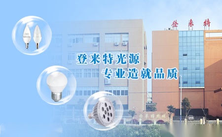 登来特DGT 展示图